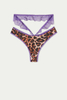 Wild Leopard Ladies Underwear