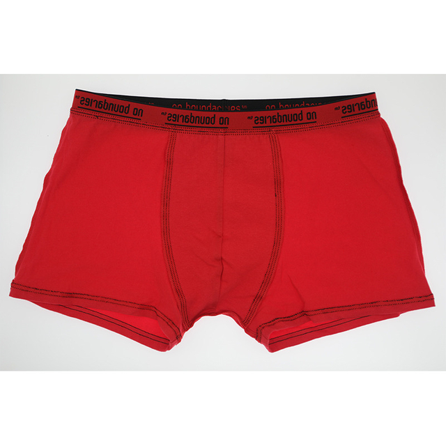 Mens Boxer breves Underwear pro Male