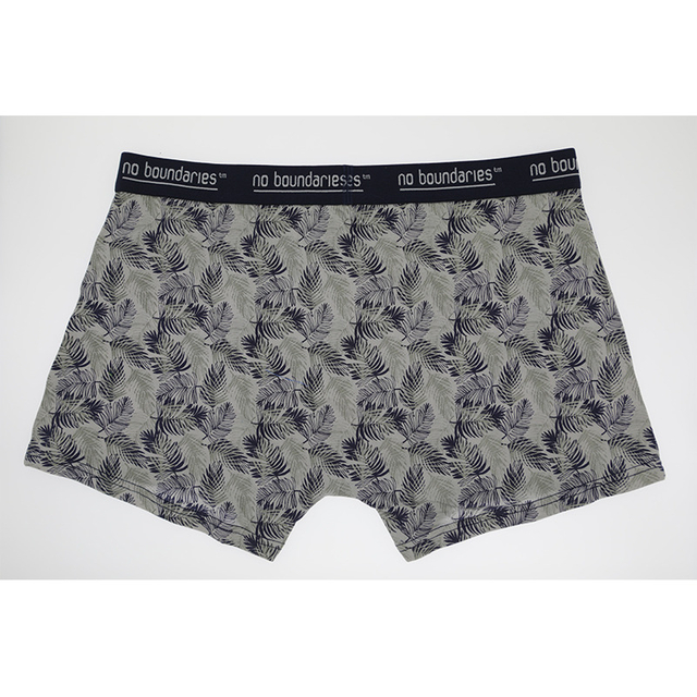 Boxer Shorts Underwear fir Männer