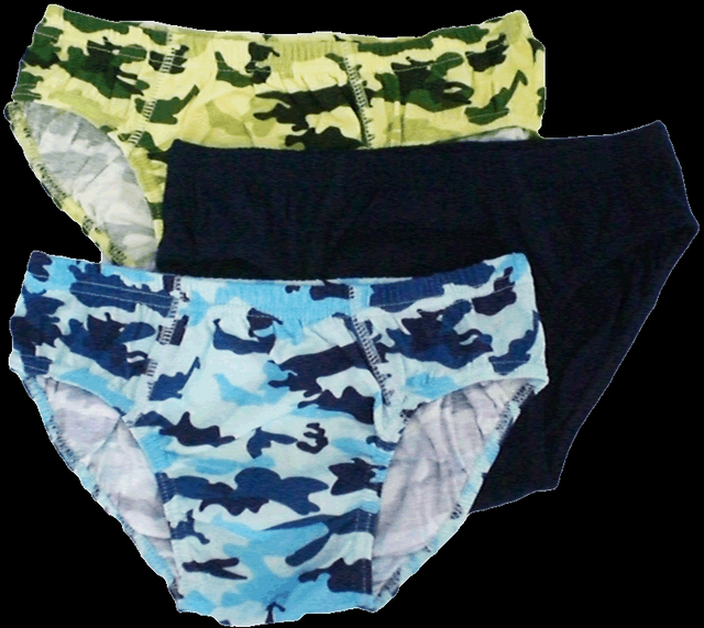 Basic Underpants for Boys