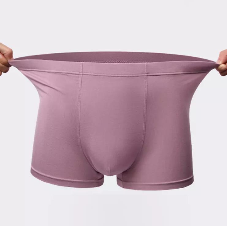Silky Panties for Men